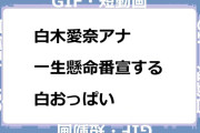 白木愛奈アナ　一生懸命番宣する白おっぱいGIF