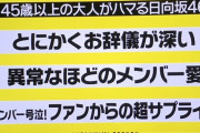 日向坂46という45歳以上の大人がハマるグループｗｗｗｗｗｗｗｗｗｗ