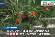 【悲報】生き物苦手板民さん、とんでもない宗教を創始してしまう