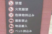 【悲報】最近の公園、何もかもが禁止されてしまう
