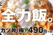 【画像】かつや「ほれ、おまえらこういう飯が好きなんやろ？」