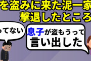 【2ch修羅場スレ】自宅に泥が来たので撃退した所、泥ママ「盗りに行こうって息子が言い出したの」息子「違う」【ゆっくり】