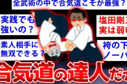 【2ch面白いスレ】合気道は強いの？←これの答えが遂に明かされるぞww【ゆっくり解説】