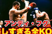 昔アンディ・フグとかいう格闘家いたでしょ？