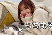 【悲報】もちまるの飼い主、とうとう芸能人とネコをコラボさせてしまう
