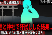 【2ch怖いスレ】友達と神社で肝試しした結果…「同じ肝試しでもお墓と神社では全く違う」【ゆっくり解説】