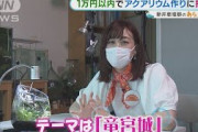新井恵理那の“おうちアクアリウム”・・・出来栄えは？(2021年9月22日)