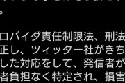唐澤弁護士、例の誹謗中傷に対して熱く語る。