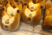【画像】パン屋「コーギーのお尻パン売ってますー！」ワイ「何やその可愛い感じのパンは」