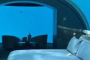 【動画あり】1泊100万円以上する『海中ホテル』、ヤバすぎるｗｗｗｗｗｗｗｗｗｗｗｗｗｗｗ