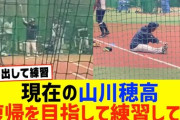 【悲報】山川穂高さん、筋肉が落ち体重激減で精神的に限界…温情トレード案も浮上