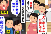 【2chスカッとスレ】妊娠が発覚すると、夫＆姑「産休入ったら、家事と犬と婆ちゃんの介護してね(はぁと」両親「流産させる気か！」夫＆姑「そんなにおかしいこと言ってる？」【ゆっくり】