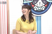 【画像】テレビ神奈川の岡村帆奈美アナのニット爆乳