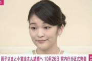 【悲報】眞子さまのPTSD報道をめぐりヤフコメが地獄