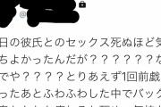 【セクレポ】Twitter惚気垢見るの好きなんだがｗｗｗ