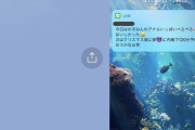 【画像】夫さん、風俗嬢へのLINEを嫁に誤爆するｗｗｗｗｗｗｗｗｗｗ