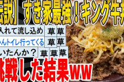 【2ch面白いスレ】【伝説】すき家最強！キング牛丼に挑戦した結果ｗｗｗｗｗｗｗｗｗ　聞き流し/2ch天国