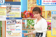 【画像】TBS皆川玲奈アナのおっぱい、旦那さんが羨ましい