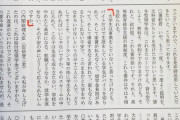 【悲報】蓮舫さん、高卒を労っただけで国民から総叩きされる模様