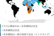 陰キャ国家「い、一夫多妻制は違法で犯罪なんだ！」←これｗｗｗｗ