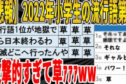 【2ch面白いスレ】【悲報】2022年小学生の流行語第1位、攻撃的すぎて草ｧｧｧｗｗｗｗｗｗｗｗｗｗｗｗ　聞き流し/2ch天国