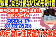 【2chキチガイスレ】夫・親族から「おばの介護をしろ」と無理矢理押しつけられる→放棄した結果、親族からいやがらせが始まり復讐を決意する【ゆっくり解説】
