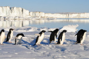 【画像あり】南極の人口が急増中　移住する人間が続出　4000人が暮らしている