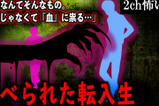 【2ch怖いスレ】食べられた転入生「因果なんてそんなもの。個人じゃなくて『血』に祟る…」【ゆっくり解説】