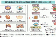 【画像】日本国民、もうすぐこんな食事しかできなくなる