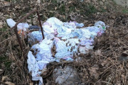 【画像】散歩してたら女児パンツ大量に捨ててあった
