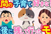 【2ch 感動スレ】生まれてから一緒に子育てしてくれた我が家の猫→家族全員「さみしくなったなぁ」