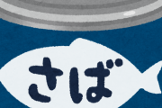 【驚愕】毎日サバ缶とキャベツのざく切りを炒めただけのやつを食べてた結果ｗｗｗｗｗｗｗ