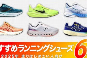 【悲報】ランニングシューズ買ったワイ、もう普通の靴には戻れない
