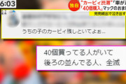 【悲報】マクナル「カービィセット数量制限なしです」転売ヤー「40個買うｗ」→売り切れ……