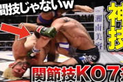 格闘技って打撃より寝技の方が面白いよなｗｗｗ