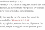 【悲報】「えちえち」「エッッッ」が海外の日本語学習サイトで詳細に解説されてしまう