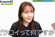 【悲報】トリンドル玲奈、3秒で嘘がバレる