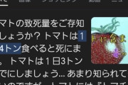【衝撃】トマト、ヤバい野菜だった…1日4トン食べると死に至る模様