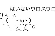 最初はバカにしてたけど実際目の当たりにしたら「ええやん」と思った事