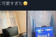 【ﾊﾒ撮り】APEXの女性ゲーマーさん、コンバーターの映った画像をアップしてしまい炎上ｗｗｗｗｗ