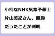 小柄なNHK気象予報士片山美紀さん、巨胸だったことが判明！横アングルで勢力が張り出すおっぱい