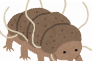【悲報】クマムシが地球外生命体らしいｗｗｗｗｗｗｗ