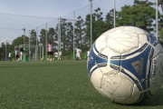【悲報】サッカー、バカになるスポーツだった