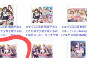 【緊急】今月発売のヱロゲ、フルプラが一本のみに…?