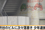 【画像】「渋谷のビルに次々落書き　少年逮捕」←ラクガキが可愛すぎると話題に