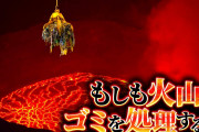実際バレずに死体を処理する方法って溶かしてトイレしか無いよな