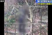【動画】犬虐待動画がネットで拡散「覚えてないが躾と思う。申し訳ないことをした」
