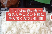 【朗報】ほっともっと「TikTokのコメント欄に有名人来て欲しい」→めちゃくちゃ有名人が集まる
