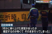 【悲報】トレーラーの運転手、お台場でチャリをはね殺して群馬まで逃げる