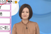 【画像】ZIP!で徳島えりかアナがおっぱいを横に揺らしてしまうｗｗｗｗ(GIFあり)